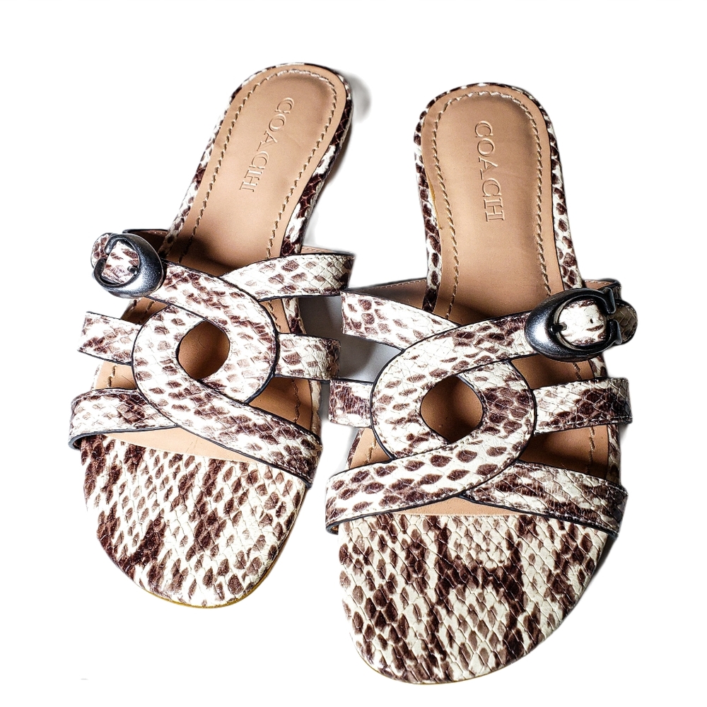 Coach Snake Print Leather Slide On Sandal Size 7.5